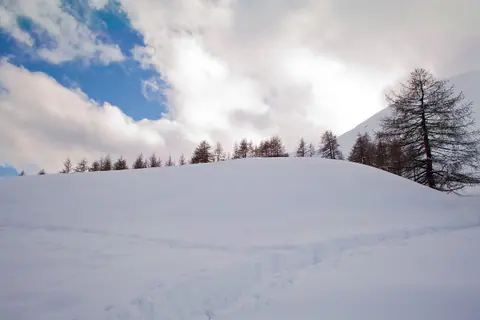 Eine Spur im frischen Schnee zwischen den Lärchen des Val d'Allos, unter blauem Himmel mit Wolken